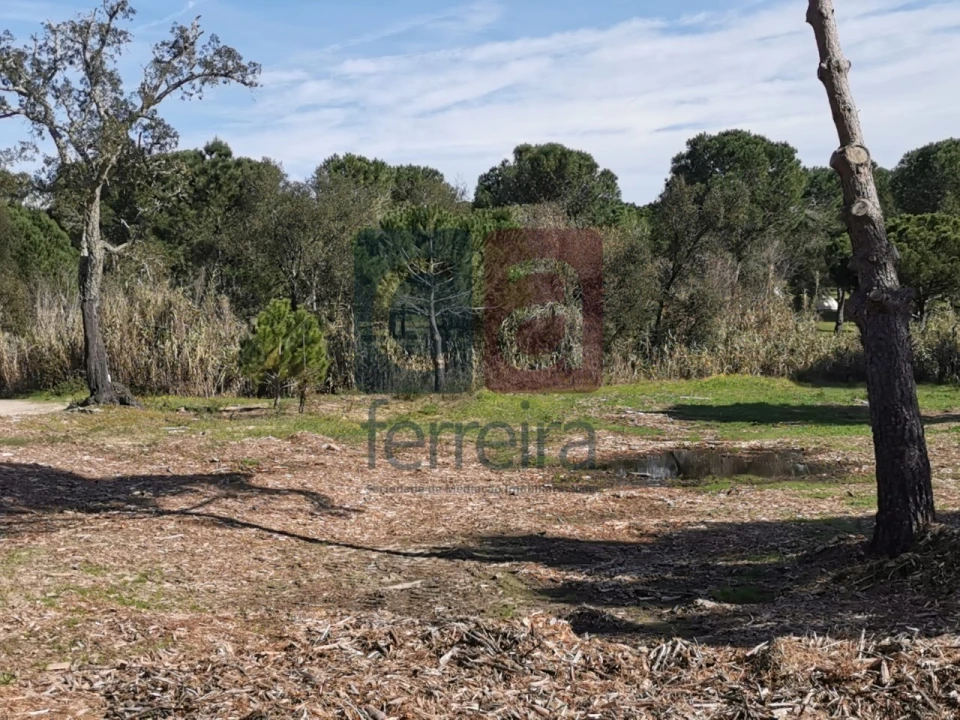 Terreno para Venda em Couço Foto 7