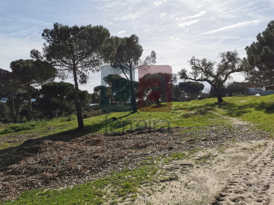 Terreno para Venda em Couço Foto 8