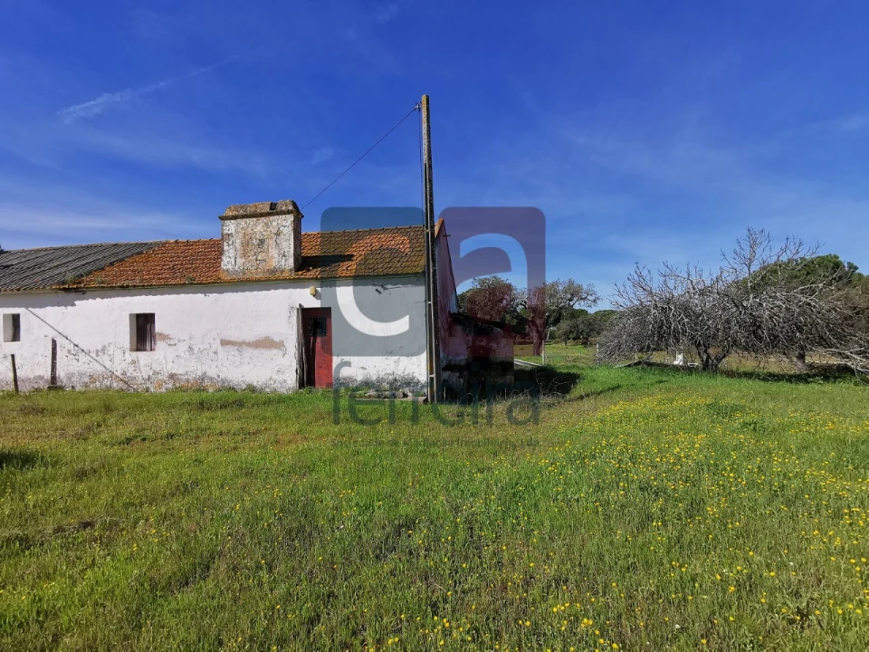 Terreno para Venda em Couço Foto 9