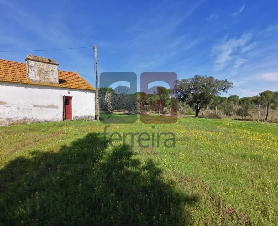 Terreno para Venda em Couço Foto 10