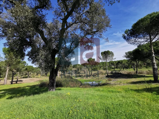 Terreno para Venda em Couço Foto 2