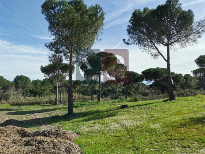 Terreno para Venda em Couço Foto 5