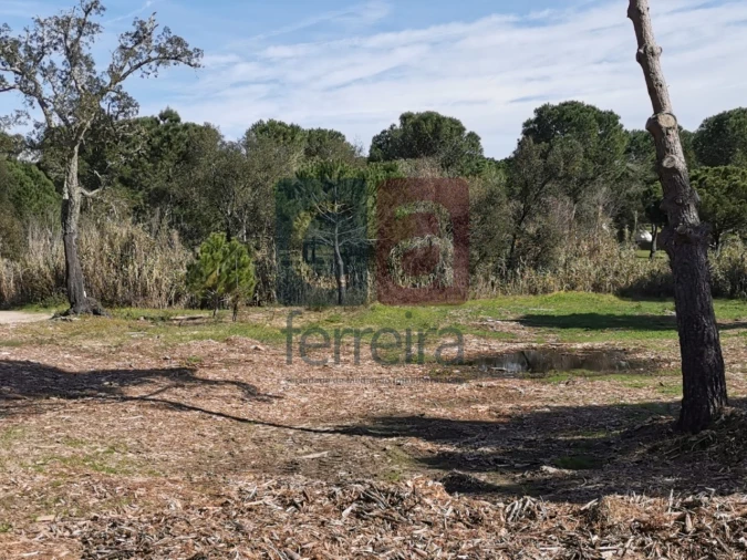 Terreno para Venda em Couço Foto 7