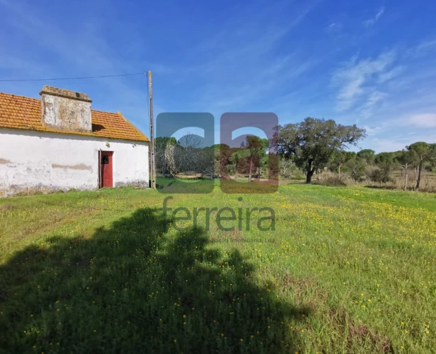Terreno para Venda em Couço Foto 10