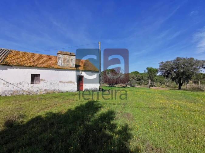 Terreno para Venda em Couço Foto 11