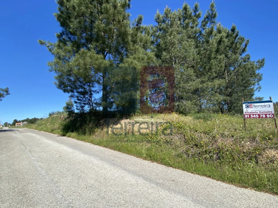 Terreno para Venda em Fazendas de Almeirim Foto 33