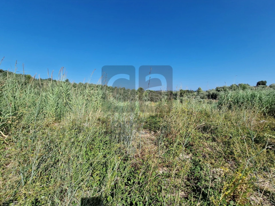 Terreno para Venda em Marvila, Ribeira Santarém, São Salvador, São Nicolau Foto 4