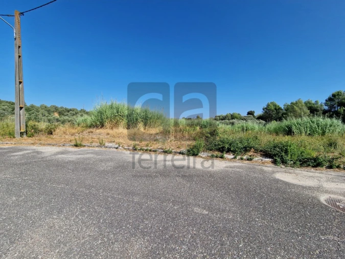 Terreno para Venda em Marvila, Ribeira Santarém, São Salvador, São Nicolau Foto 17