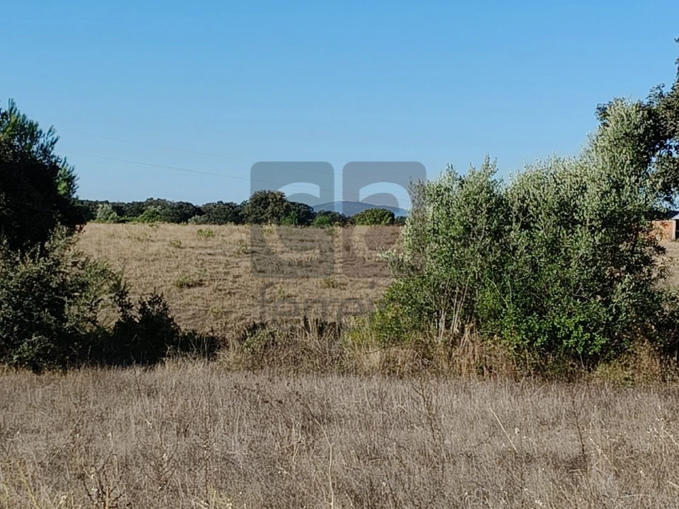 Terreno para Venda em Almoster Foto 4