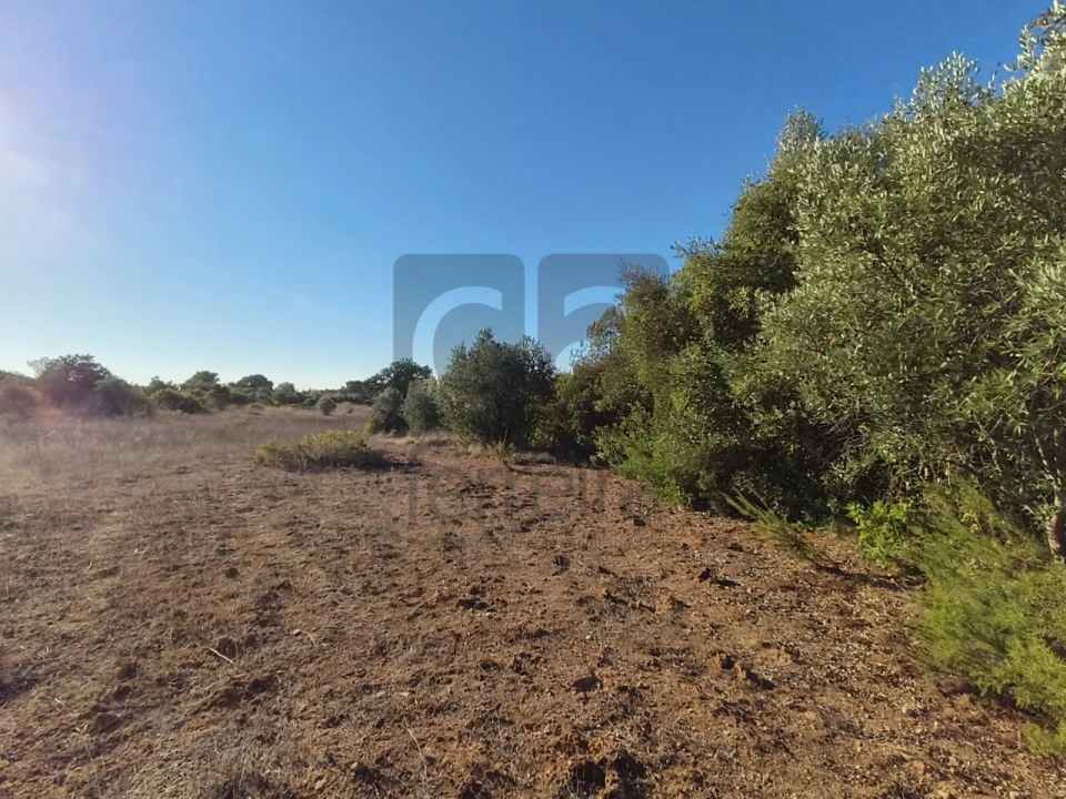 Terreno para Venda em Almoster Foto 8