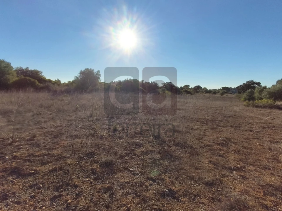 Terreno para Venda em Almoster Foto 11