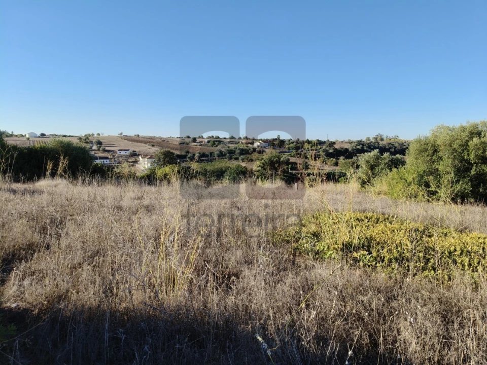 Terreno para Venda em Almoster Foto 15