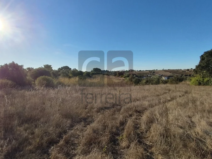 Terreno para Venda em Almoster Foto 13