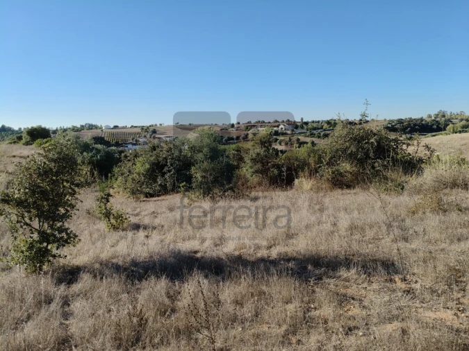 Terreno para Venda em Almoster Foto 16