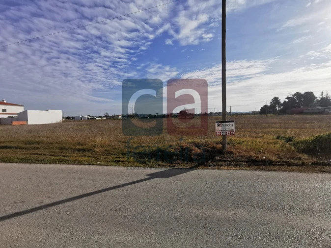 Terreno para Venda em Alpiarça Foto 2