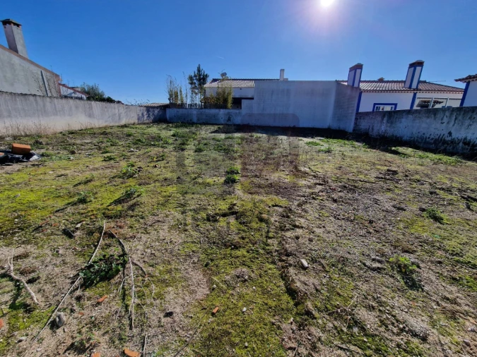 Terreno para Venda em Alpiarça Foto 4