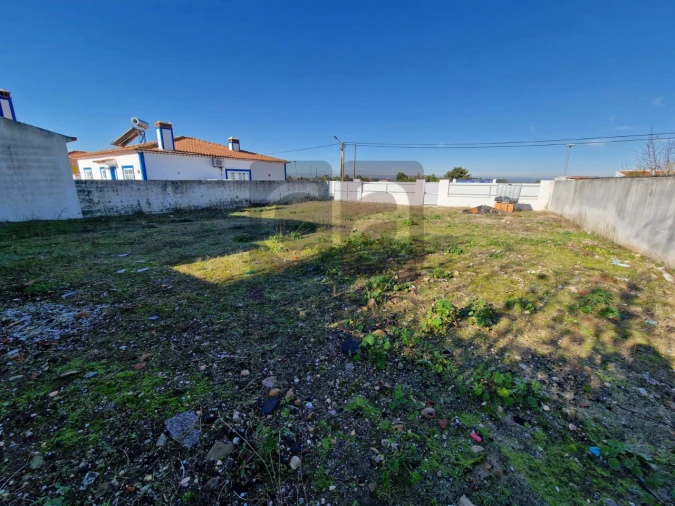 Terreno para Venda em Alpiarça Foto 8