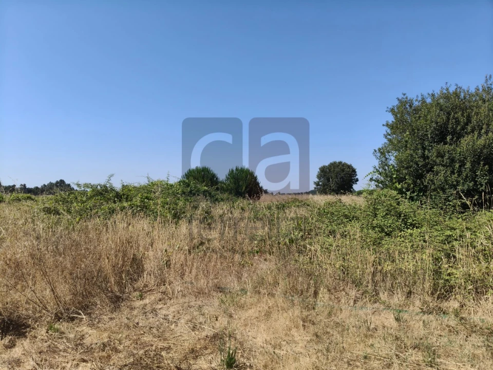 Terreno para Venda em Alpiarça Foto 11