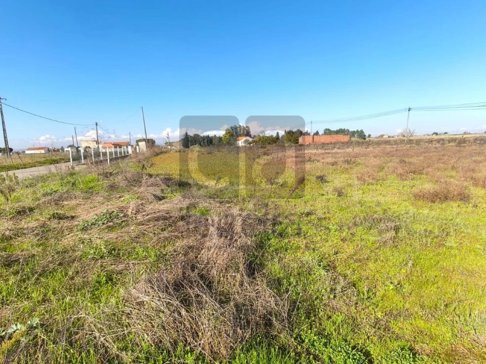Terreno para Venda em Alpiarça Foto 5