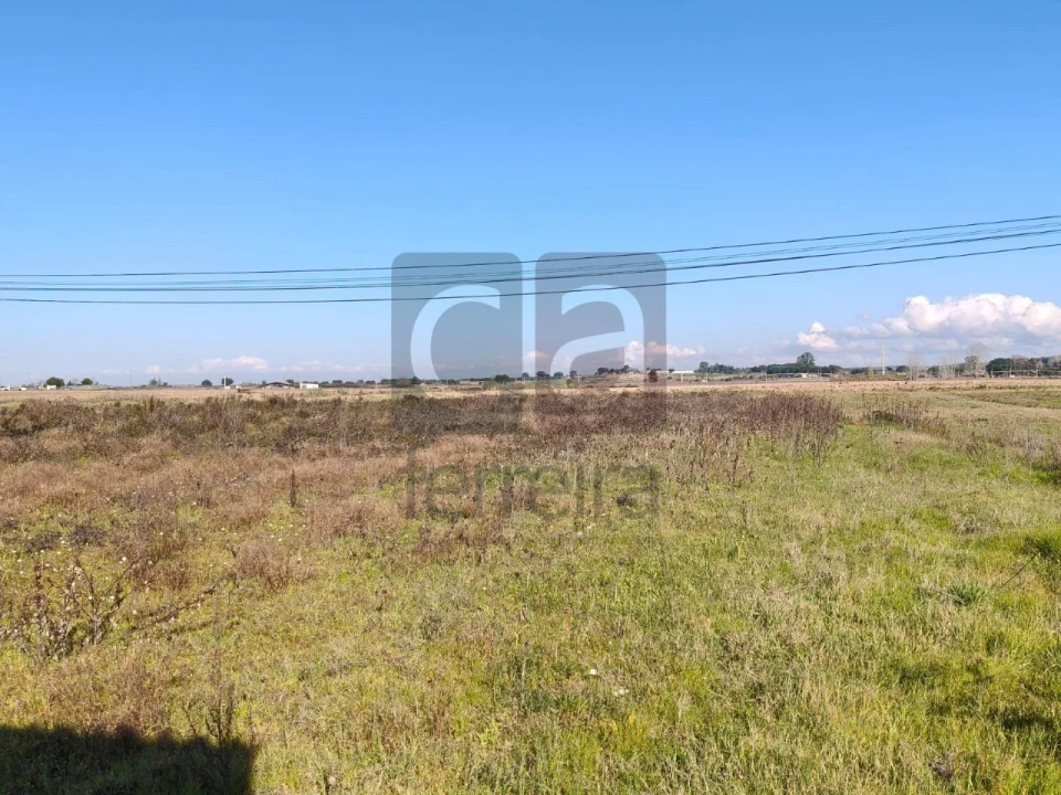Terreno para Venda em Alpiarça Foto 6