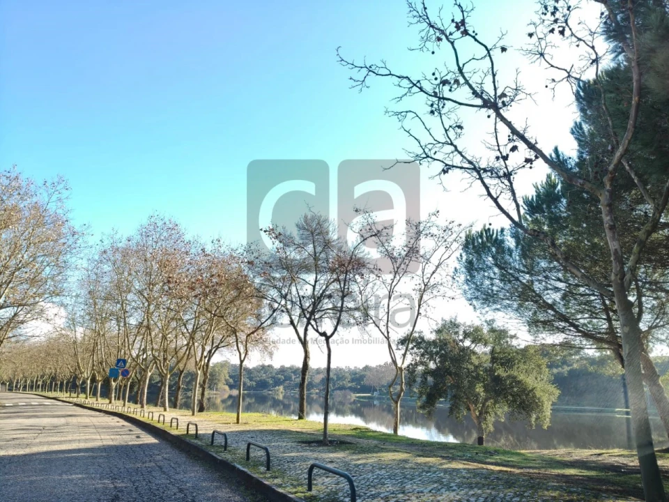 Terreno para Venda em Alpiarça Foto 11