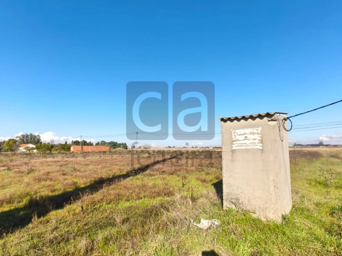 Terreno para Venda em Alpiarça Foto 4