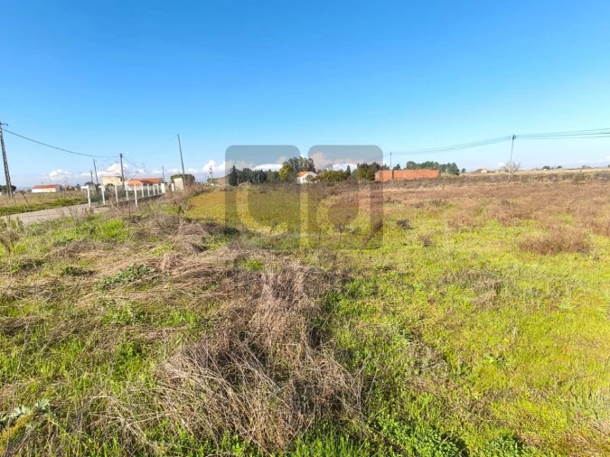 Terreno para Venda em Alpiarça Foto 5