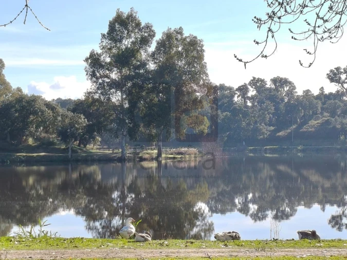 Terreno para Venda em Alpiarça Foto 16