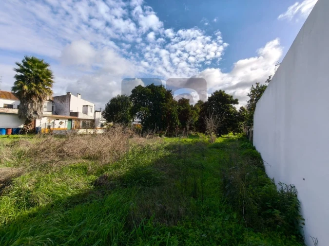 Terreno para Venda em Almeirim Foto 5
