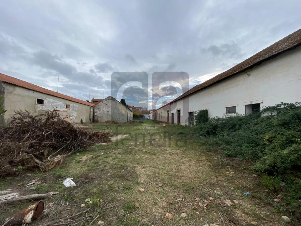 Moradia para Venda em Alpiarça Foto 52