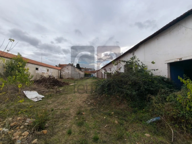 Moradia para Venda em Alpiarça Foto 36