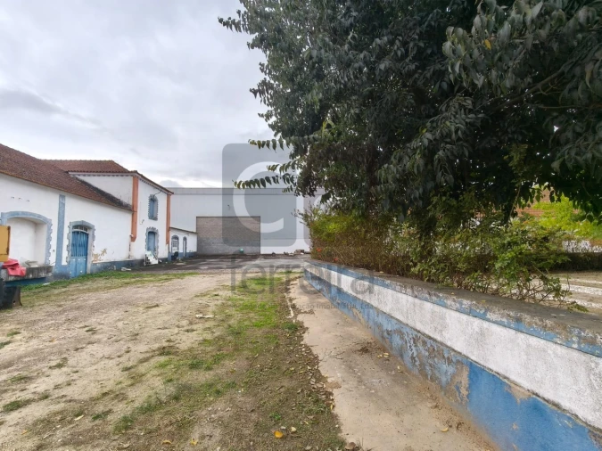 Moradia para Venda em Alpiarça Foto 44