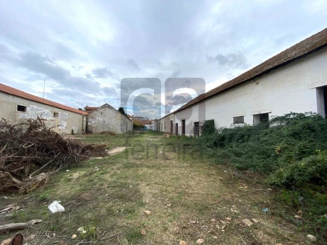 Moradia para Venda em Alpiarça Foto 51