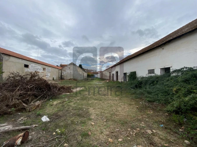 Moradia para Venda em Alpiarça Foto 52