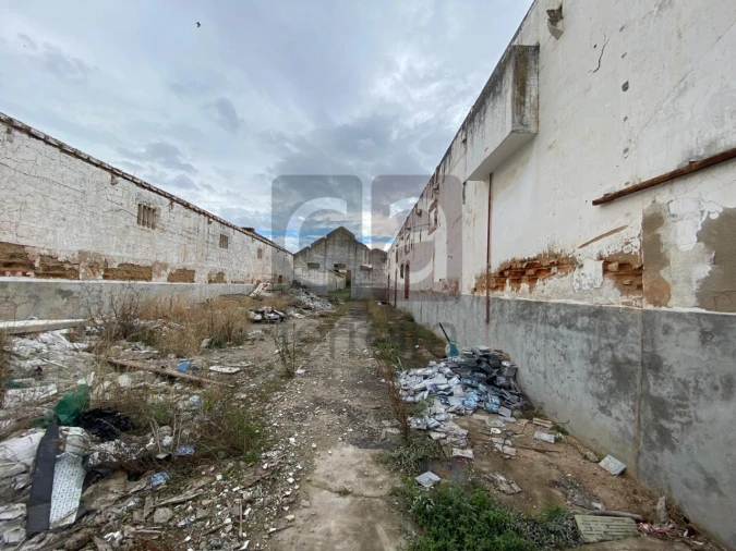 Moradia para Venda em Alpiarça Foto 57