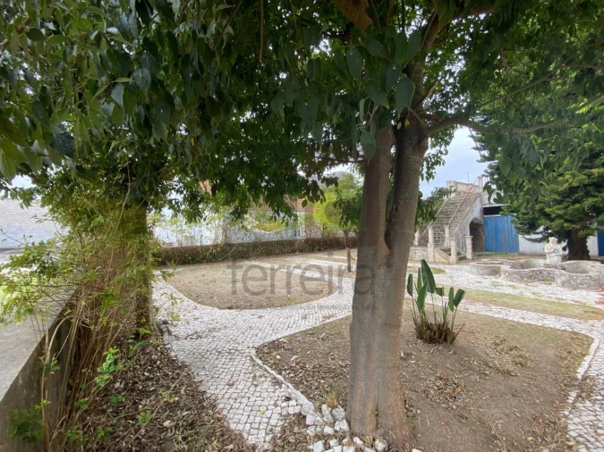 Moradia para Venda em Alpiarça Foto 59