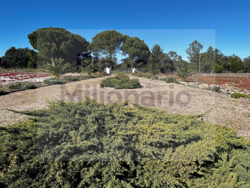 Quinta T3 para Venda em Torrão Foto 3