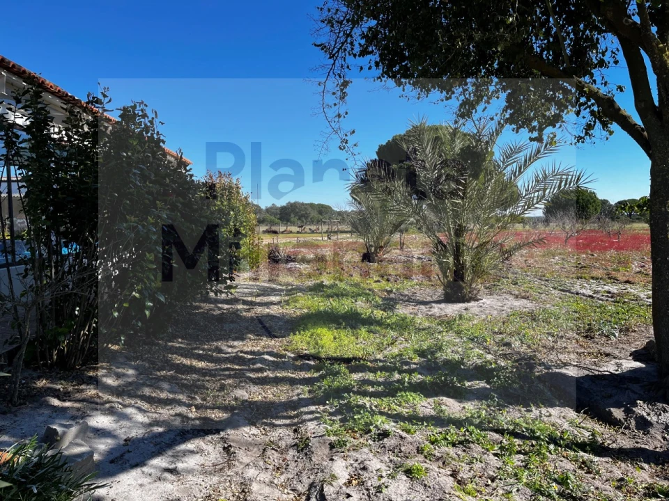 Quinta T3 para Venda em Torrão Foto 7