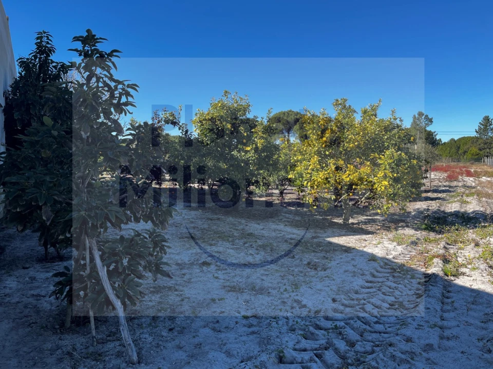 Quinta T3 para Venda em Torrão Foto 17