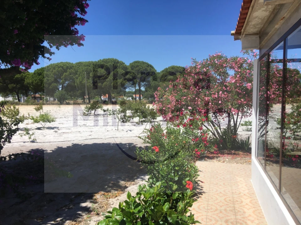 Quinta T3 para Venda em Torrão Foto 2