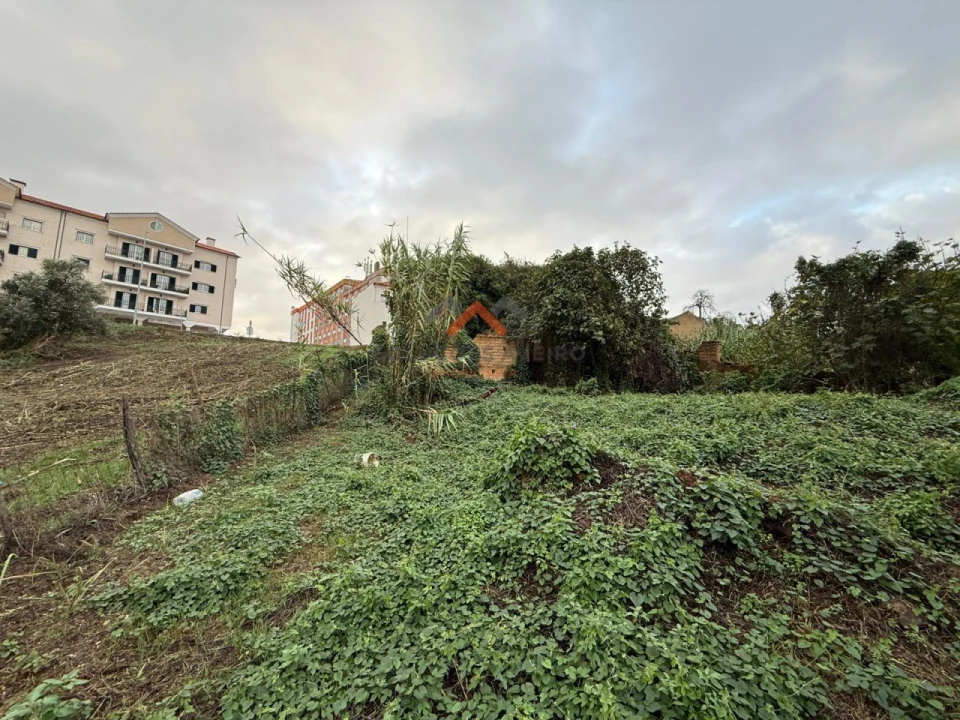 Moradia T5 para Venda em Oliveira do Bairro Foto 37