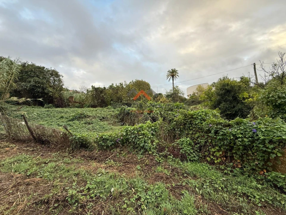 Moradia T5 para Venda em Oliveira do Bairro Foto 38