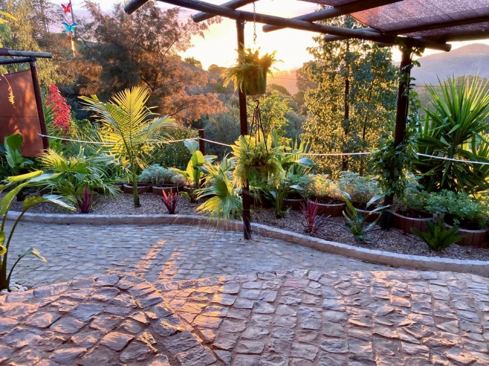 Quinta T3 para Venda em Santa Catarina da Fonte do Bispo Foto 30