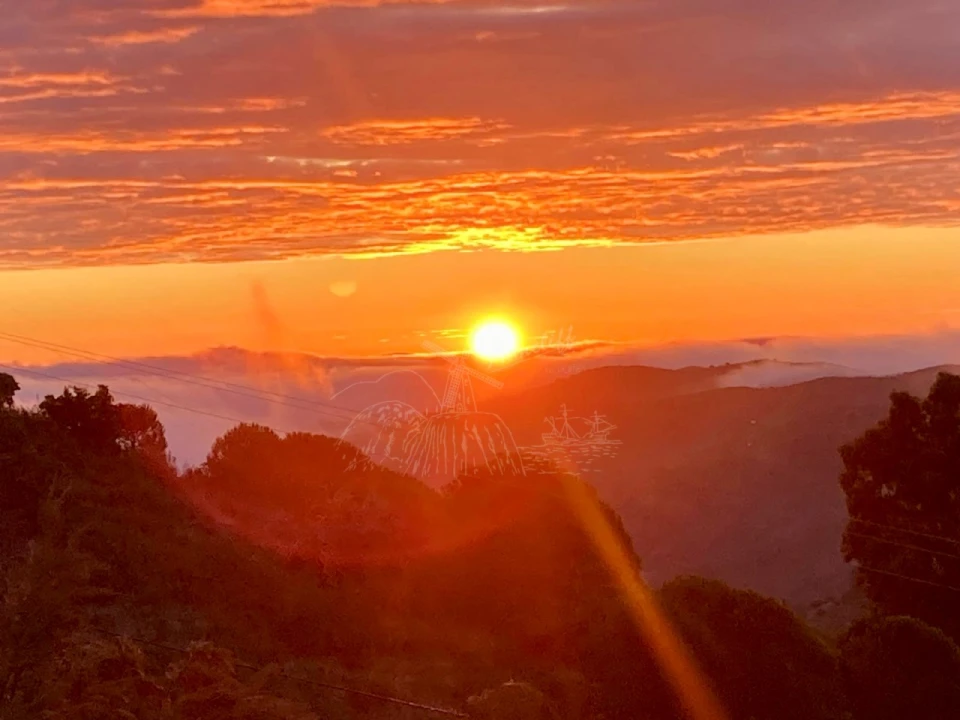 Quinta T3 para Venda em Santa Catarina da Fonte do Bispo Foto 32