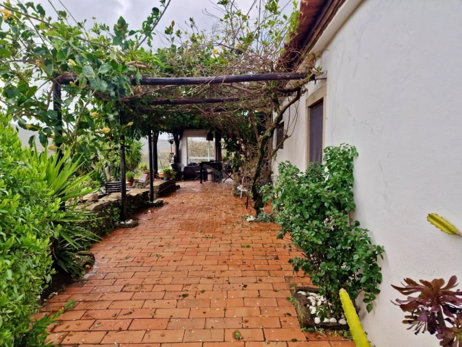 Quinta T3 para Venda em Santa Catarina da Fonte do Bispo Foto 21