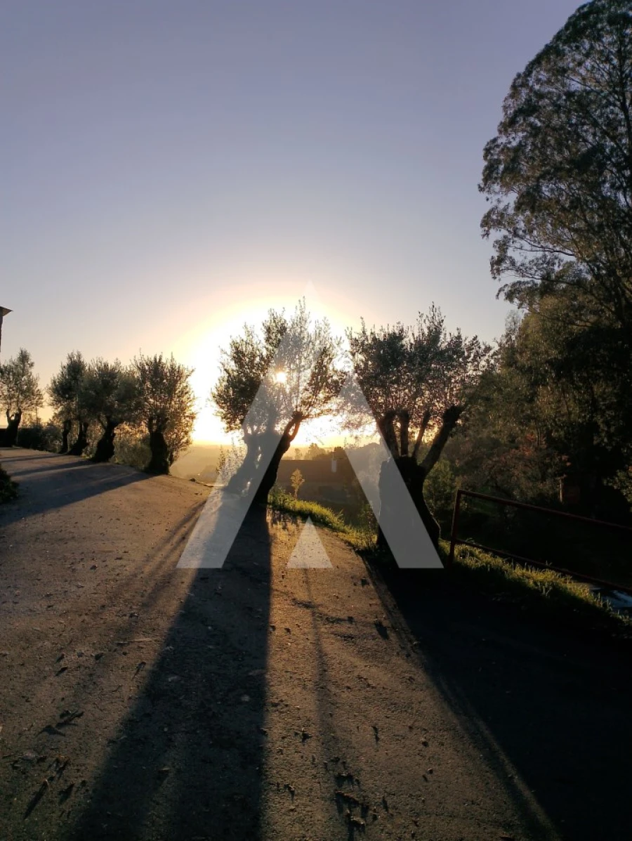 Terreno para Venda em Santa Maria Maior e Monserrate e Meadela Foto 5