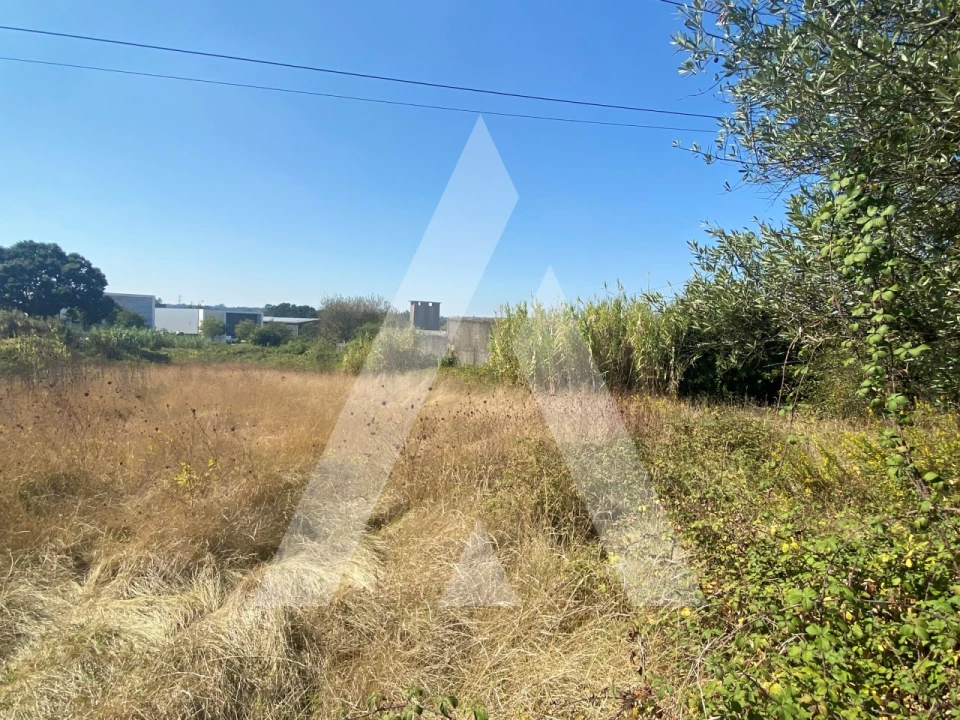 Terreno para Venda em Sangalhos Foto 6