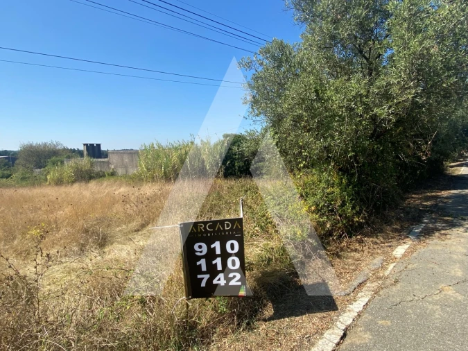 Terreno para Venda em Sangalhos