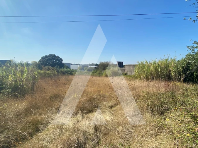 Terreno para Venda em Sangalhos Foto 5