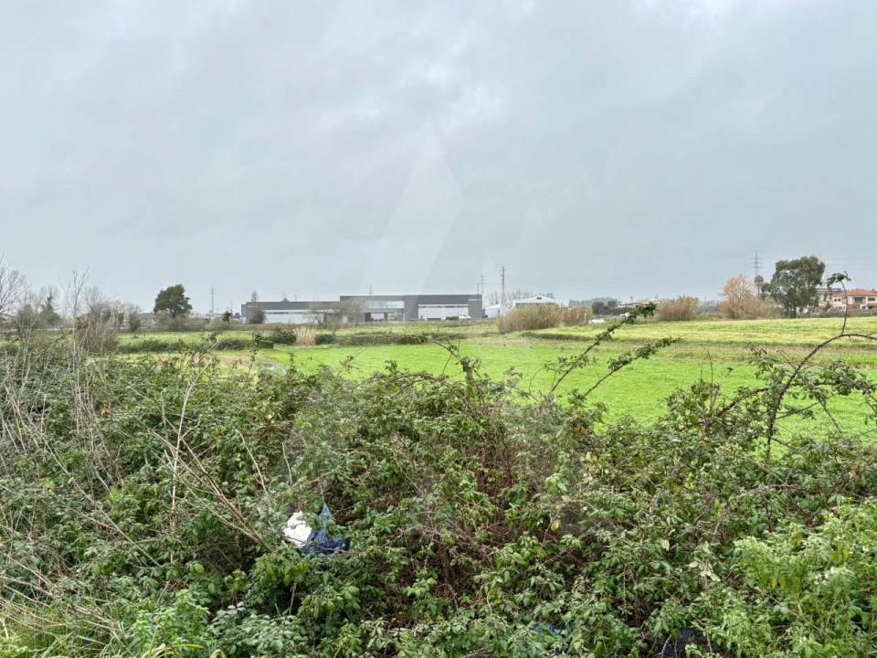 Terreno para Venda em Valega Foto 4